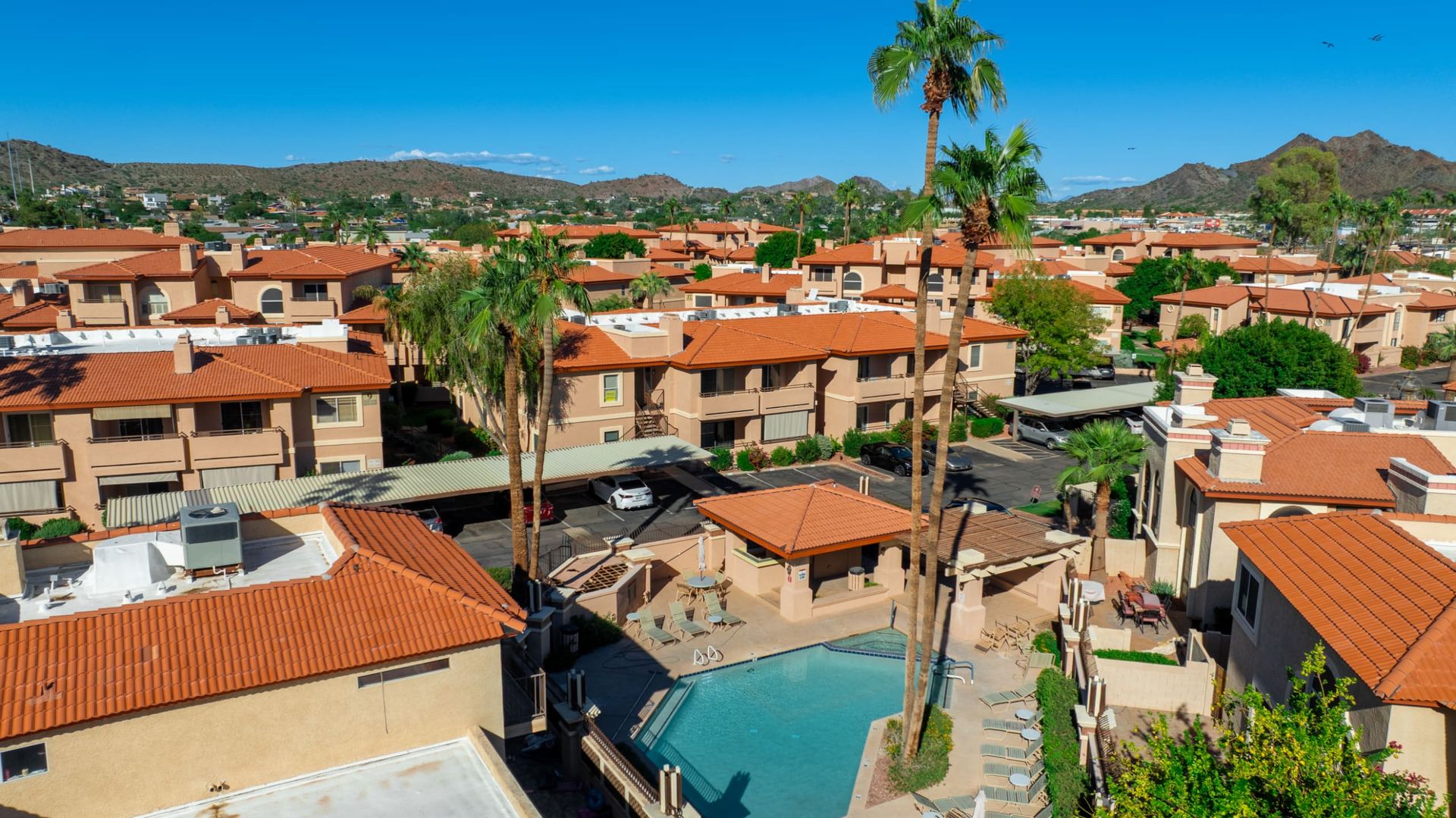 Community pool surrounded by tile roofs and palms
